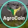 Project Logo
